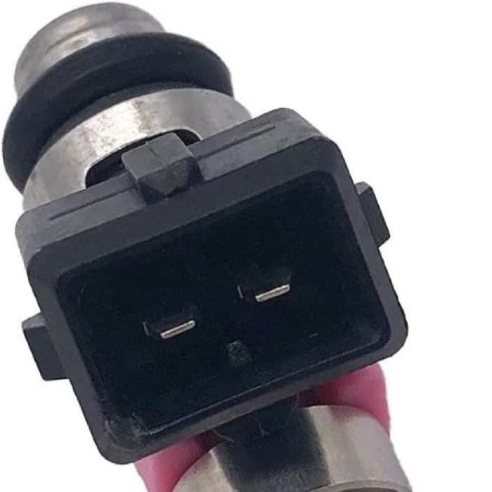 Fuel Injector IWP189